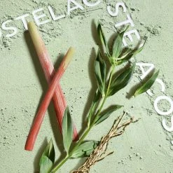 Lacoste Match Point Cologne - Eau De Toilette 11 Lacoste Match Point Cologne - Eau De Toilette -Sephora shop P10026855 3