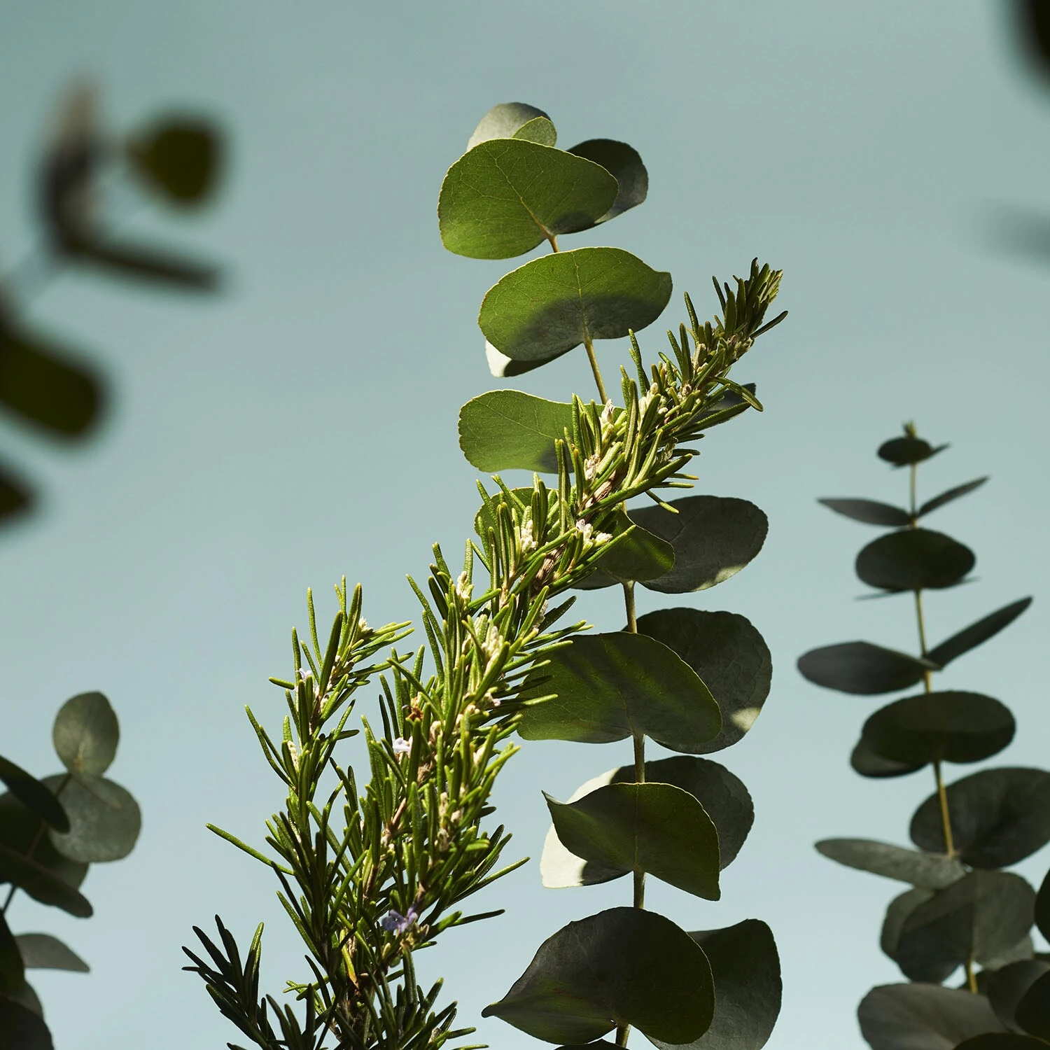 Rituals The Ritual Of Hammam - Coffret S Corps & Maison 7 Rituals The Ritual Of Hammam - Coffret S Corps & Maison – Image 5