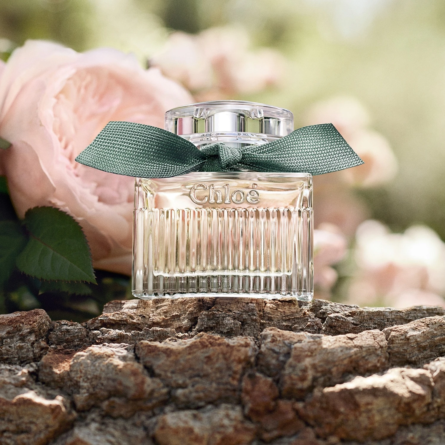 Chloé Rose Naturelle Intense - Eau De Parfum Rechargeable 6 Chloé Rose Naturelle Intense - Eau De Parfum Rechargeable – Image 4