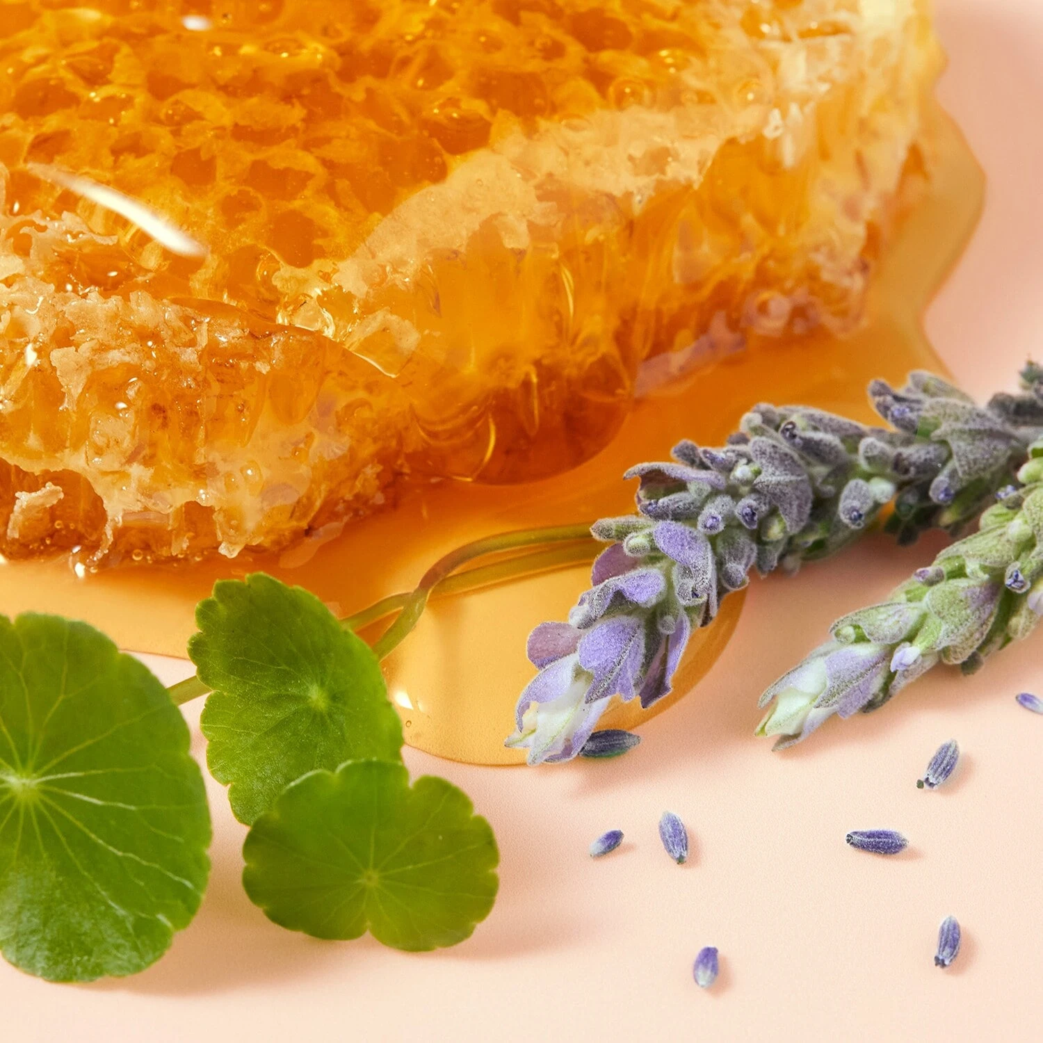 NUXE Rêve De Miel - CICA Crème Mains Riche 4 NUXE Rêve De Miel - CICA Crème Mains Riche – Image 2