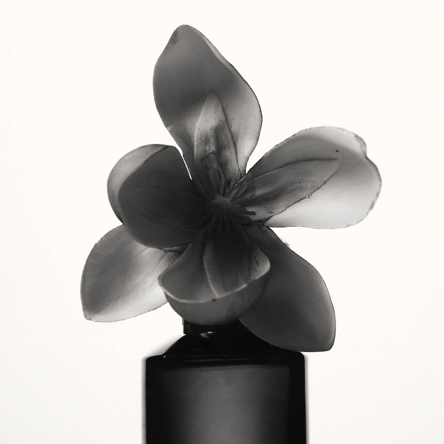 Fenty Beauty Fenty - Eau De Parfum 5 Fenty Beauty Fenty - Eau De Parfum – Image 3