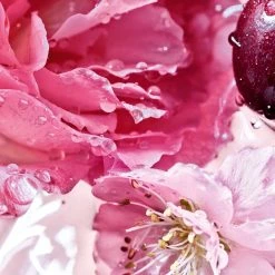 Guerlain La Petite Robe Noire - Rose Cherry - Eau De Parfum 10 Guerlain La Petite Robe Noire - Rose Cherry - Eau De Parfum -Sephora shop P10047438 2