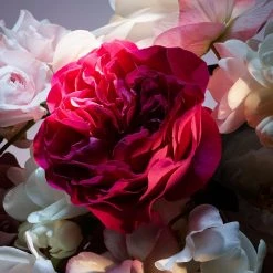 Lancome La Nuit Trésor - Fleur De Nuit - Eau De Parfum Florale 11 Lancome La Nuit Trésor - Fleur De Nuit - Eau De Parfum Florale -Sephora shop P10047991 3