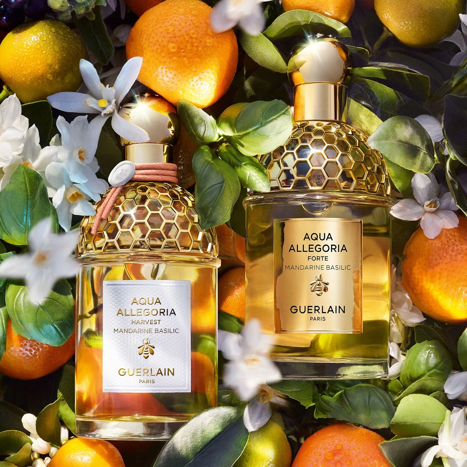 Guerlain Aqua Allegoria Harvest - Mandarine Basilic - Eau De Toilette 7 Guerlain Aqua Allegoria Harvest - Mandarine Basilic - Eau De Toilette – Image 5