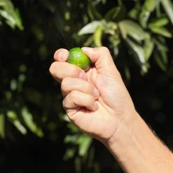 Guerlain Aqua Allegoria Harvest - Mandarine Basilic - Eau De Toilette 13 Guerlain Aqua Allegoria Harvest - Mandarine Basilic - Eau De Toilette -Sephora shop P10048020 5
