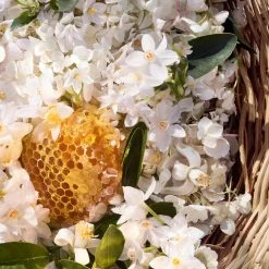 Guerlain Aqua Allegoria Harvest - Nerolia Vetiver - Eau De Toilette 11 Guerlain Aqua Allegoria Harvest - Nerolia Vetiver - Eau De Toilette -Sephora shop P10048021 3