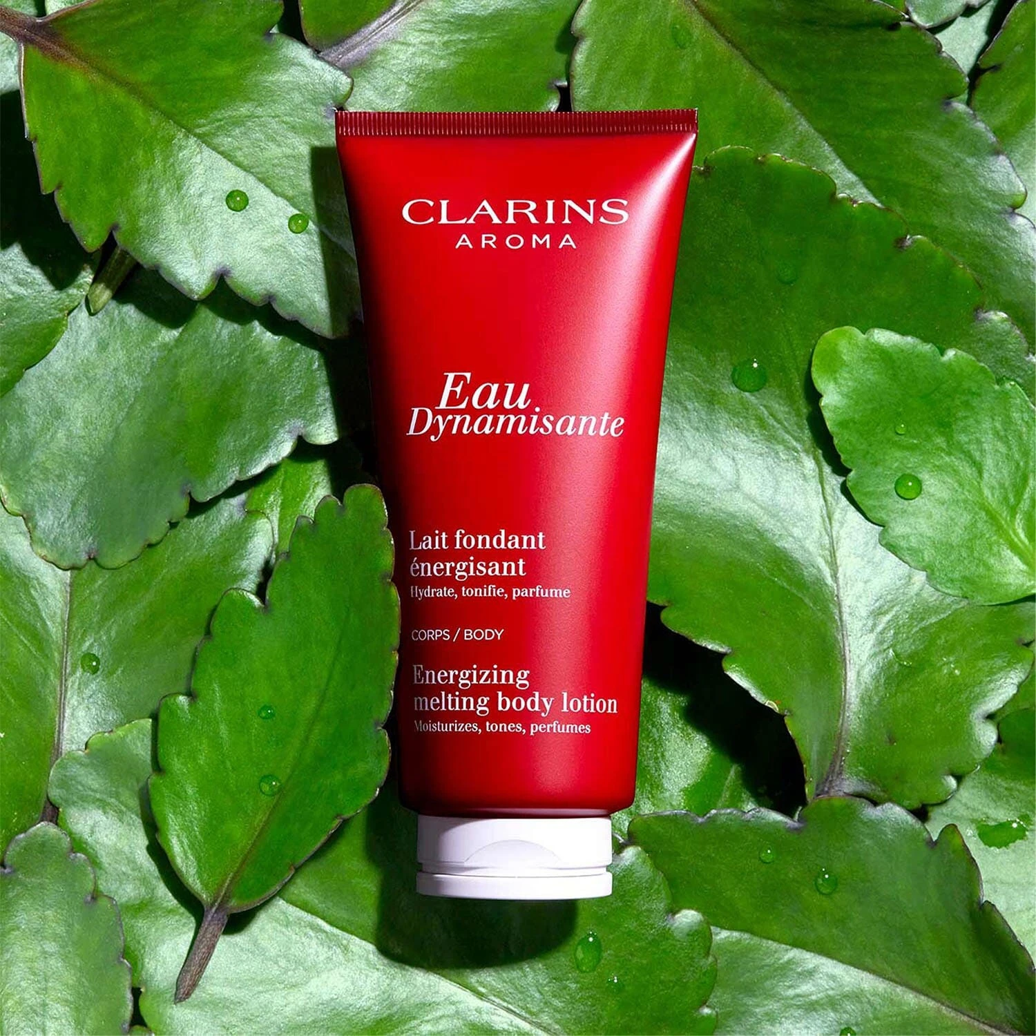 Clarins Eau Dynamisante - Lait Fondant Energisant 5 Clarins Eau Dynamisante - Lait Fondant Energisant – Image 3