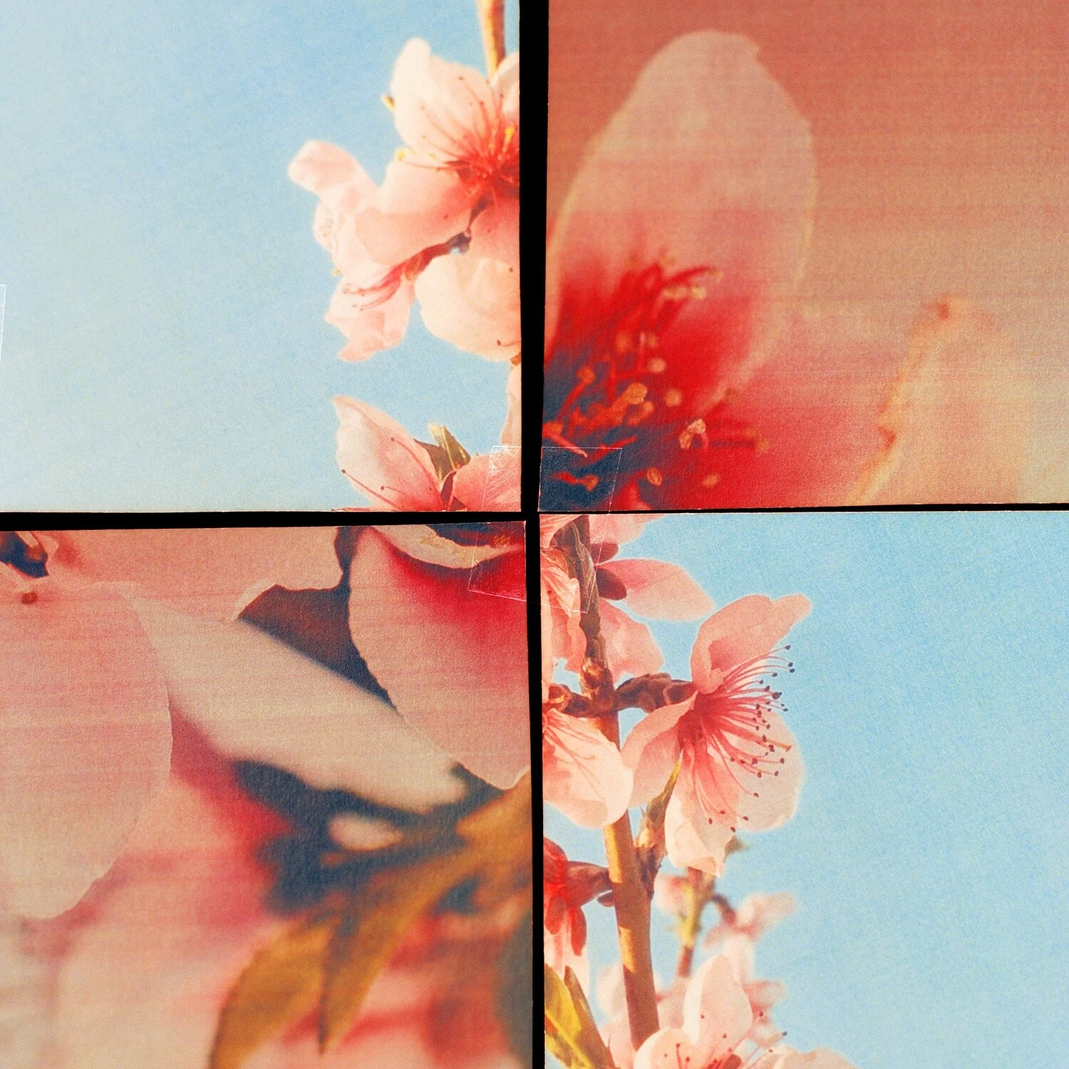 Jo Malone London Sakura Cherry Blossom - Eau De Cologne 7 Jo Malone London Sakura Cherry Blossom - Eau De Cologne – Image 5