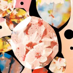 Jo Malone London Sakura Cherry Blossom - Eau De Cologne 13 Jo Malone London Sakura Cherry Blossom - Eau De Cologne -Sephora shop P10048855 5