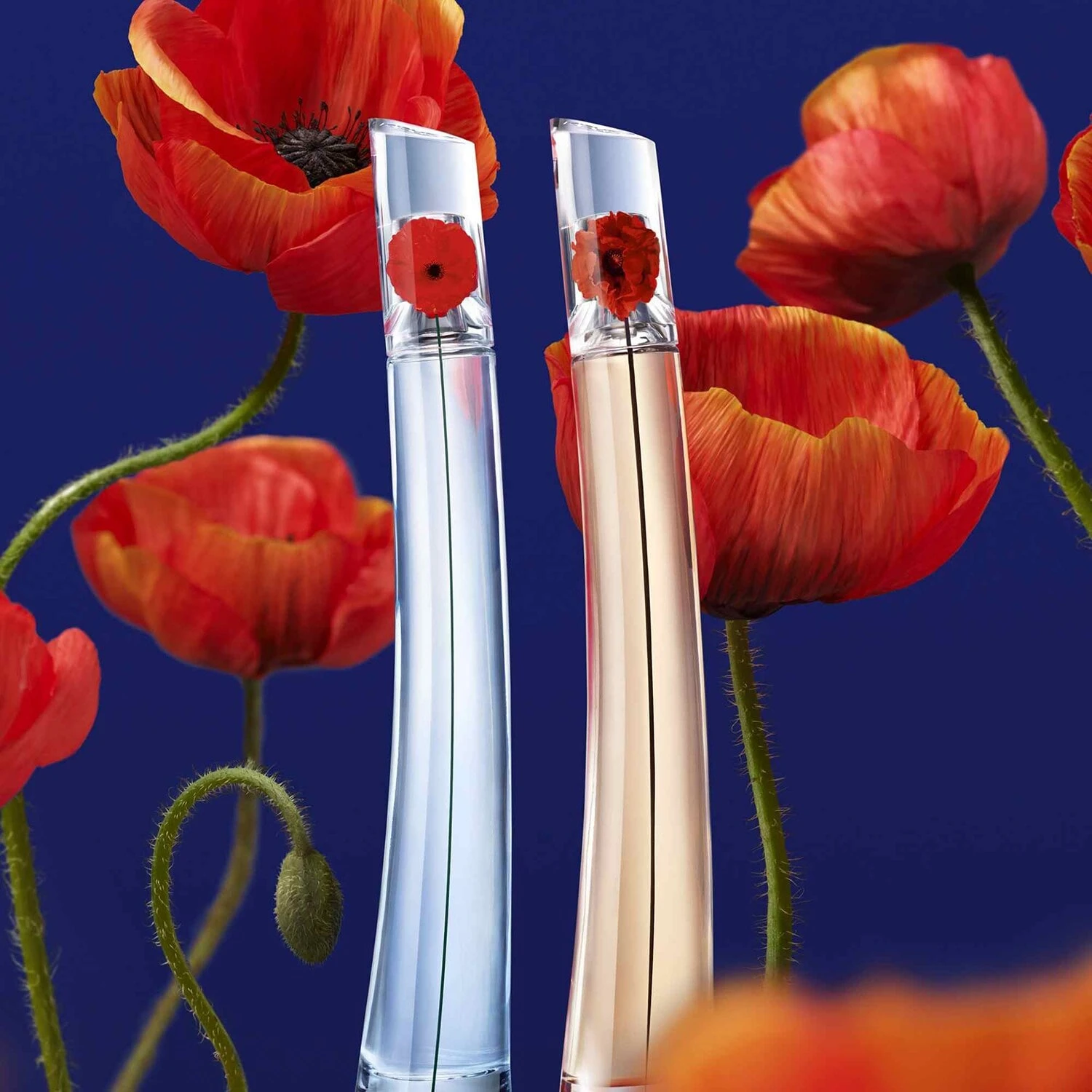 FLOWER BY KENZO - Coffret Eau De Parfum + Savon + Pochette 6 FLOWER BY KENZO - Coffret Eau De Parfum + Savon + Pochette – Image 4