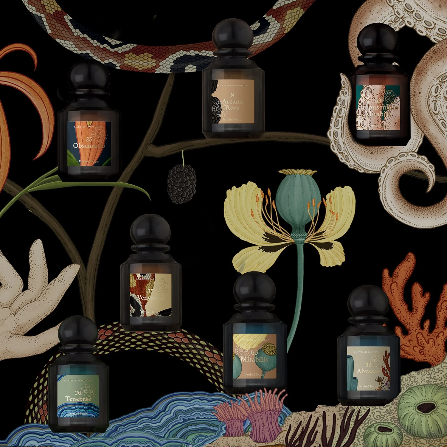 L'Artisan Parfumeur Crepusculum Mirabile - Eau De Parfum 6 L'Artisan Parfumeur Crepusculum Mirabile - Eau De Parfum – Image 4