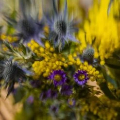 Sisley L'Eau Rêvée D'Hubert - Eau De Toilette 13 Sisley L'Eau Rêvée D'Hubert - Eau De Toilette -Sephora shop P10049260 5