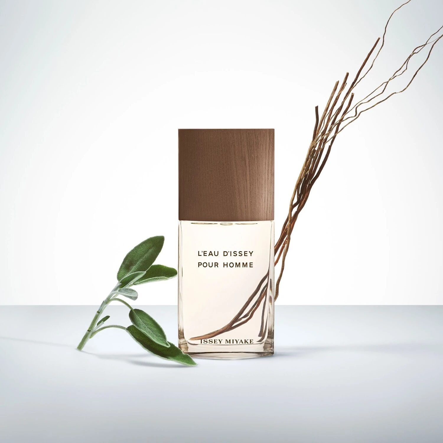 Issey Miyake L'Eau D'Issey Pour Homme Vétiver - Eau De Toilette Intense 5 Issey Miyake L'Eau D'Issey Pour Homme Vétiver - Eau De Toilette Intense – Image 3