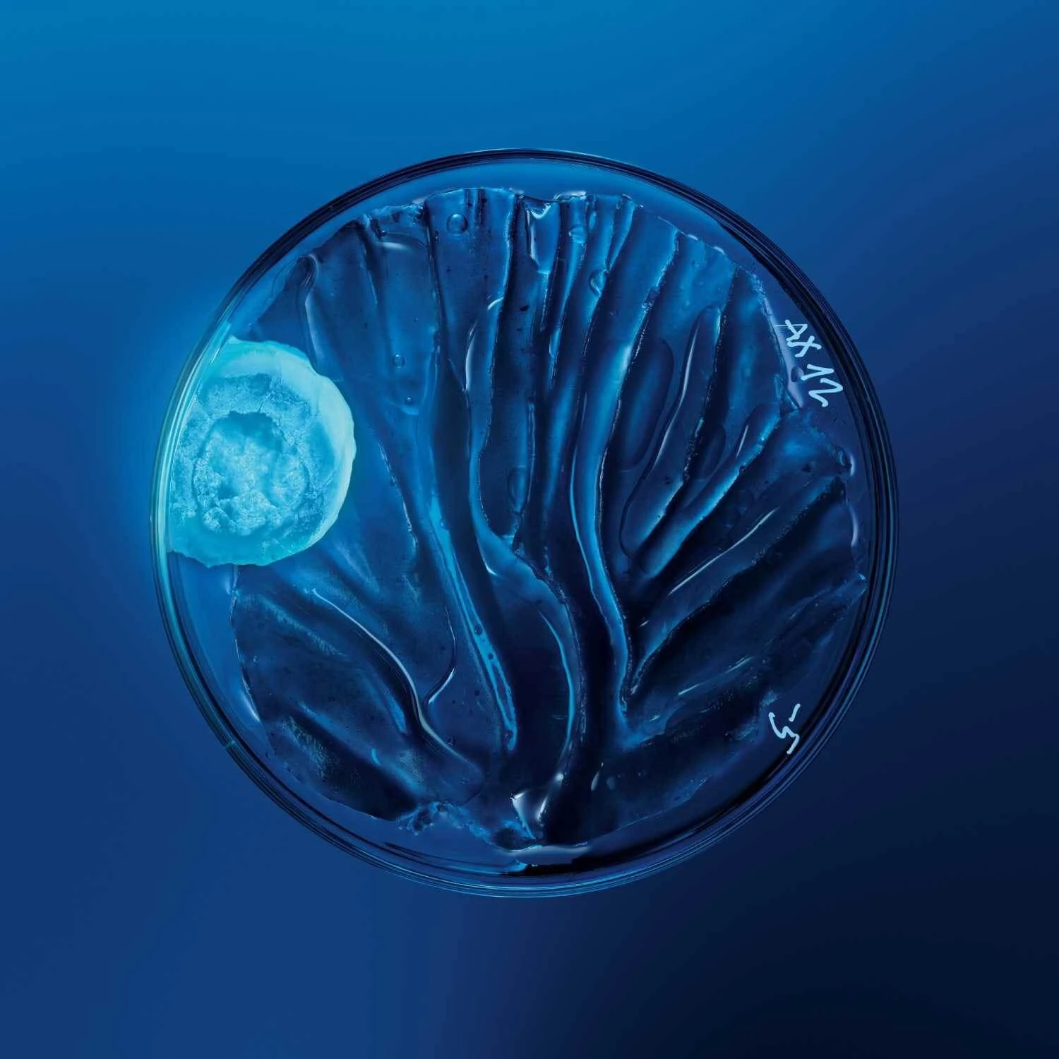 Biotherm Homme - Force Supreme Crème Anti-âge Multi-correcteur 6 Biotherm Homme - Force Supreme Crème Anti-âge Multi-correcteur – Image 4