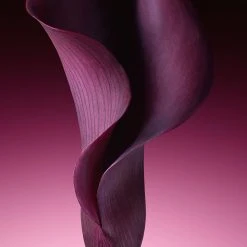 DIOR Capture Totale Crème Fermeté Et Correction Rides - Crème Anti-âge Visage Global 9 DIOR Capture Totale Crème Fermeté Et Correction Rides - Crème Anti-âge Visage Global -Sephora shop P3933085 2