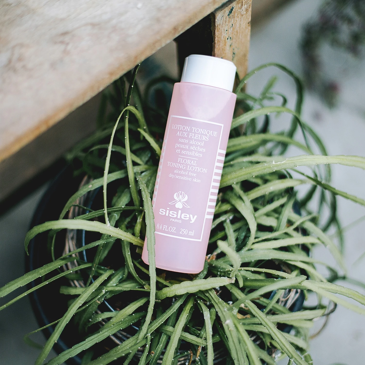 Sisley Lotion Tonique Aux Fleurs 3 Sisley Lotion Tonique Aux Fleurs – Image 2