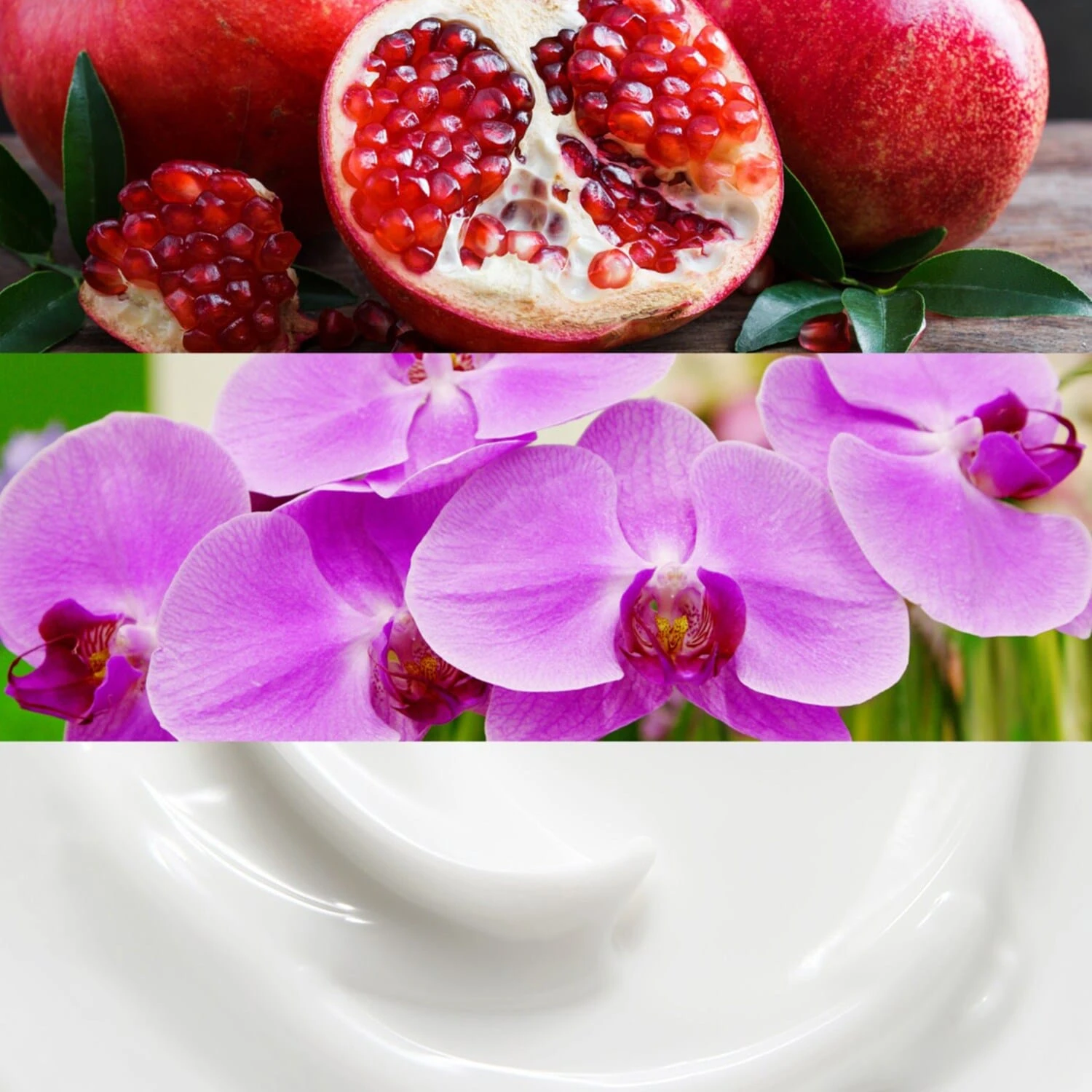 Calvin Klein EUPHORIA - Eau De Parfum 8 Calvin Klein EUPHORIA - Eau De Parfum – Image 6